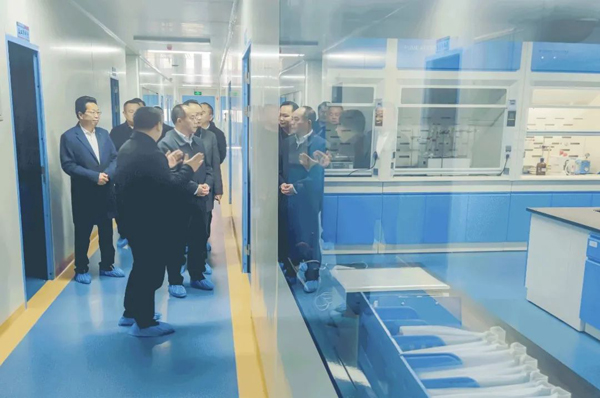 厚捷资讯丨领导关怀 重庆市市场监督管理局唐英瑜局长带队莅临我司调研指导